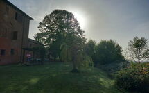 Foto pubblicata dell'ospite di Chiusi 607