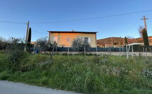 Foto pubblicata dell'ospite di Villa Manuela