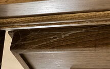 Foto pubblicata dell'ospite di La Cipressa