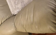 Foto pubblicata dell'ospite di La Cipressa