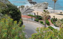 Foto pubblicata dell'ospite di Lulablu