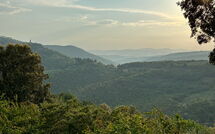 Foto pubblicata dell'ospite di Villa Crispinino