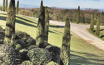 Foto pubblicata dell'ospite di La Rimessa