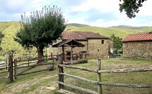 Foto pubblicata dell'ospite di Ca de Tonco