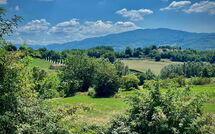 Foto pubblicata dell'ospite di Villa la Collina