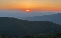 Foto pubblicata dell'ospite di Casetta i Ciliegi