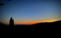 Foto pubblicata dell'ospite di Casa Caldesi