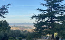 Foto pubblicata dell'ospite di Montaione 140