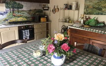 Foto pubblicata dell'ospite di Villa la Collina