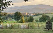 Foto pubblicata dell'ospite di Villa la Collina