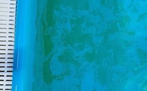 Foto pubblicata dell'ospite di Tenuta di Campagliana