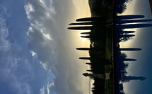 Foto pubblicata dell'ospite di Podere la Torre