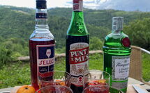 Foto pubblicata dell'ospite di Murazzano 606