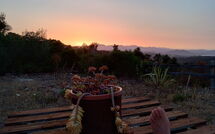Foto pubblicata dell'ospite di Appartamento Comino Sole Sea View