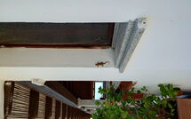 Foto pubblicata dell'ospite di Appartamento Comino Sole Sea View