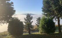 Foto pubblicata dell'ospite di Lajatico 602