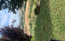 Foto pubblicata dell'ospite di Lajatico 602