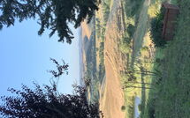 Foto pubblicata dell'ospite di Lajatico 602