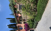 Foto pubblicata dell'ospite di Villa Vico