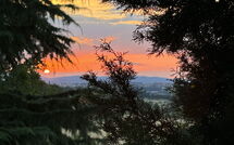 Foto pubblicata dell'ospite di Villa Camelia