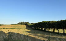 Foto pubblicata dell'ospite di Villa Camelia