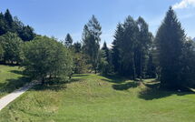 Foto pubblicata dell'ospite di Alpe