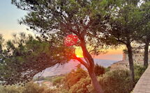 Foto pubblicata dell'ospite di Podere Santa Lucia