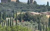 Foto pubblicata dell'ospite di Tenuta Il Tresto