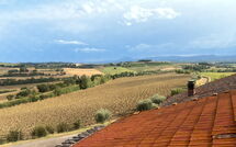 Foto pubblicata dell'ospite di Fattoria le Chianacce