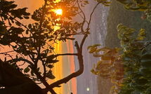 Foto pubblicata dell'ospite di Casetta i Ciliegi