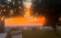 Foto pubblicata dell'ospite di Massarosa Front Lake, the Gargoyles