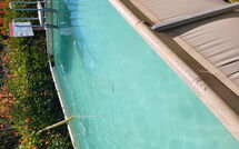 Foto pubblicata dell'ospite di Villetta Luciana