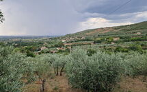 Foto pubblicata dell'ospite di San Eusebio