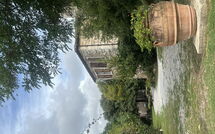Foto pubblicata dell'ospite di Agriturismo Il Molinello
