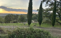 Foto pubblicata dell'ospite di Podere Orietta