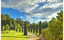 Foto pubblicata dell'ospite di Il Sogno tra i Vigneti