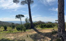 Foto pubblicata dell'ospite di Dependance di Villa Magna