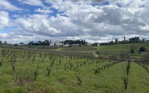 Foto pubblicata dell'ospite di Dependance di Villa Magna