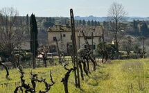 Foto pubblicata dell'ospite di Dependance di Villa Magna