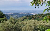 Foto pubblicata dell'ospite di Florence 646