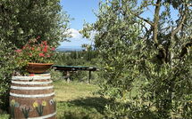 Foto pubblicata dell'ospite di Il Campanile