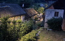 Foto pubblicata dell'ospite di Il Gianlupo Grigio