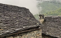 Foto pubblicata dell'ospite di Il Gianlupo Grigio