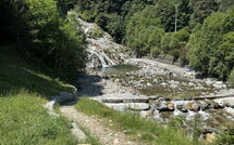 Foto pubblicata dell'ospite di Il Gianlupo Grigio
