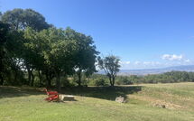 Foto pubblicata dell'ospite di Villa Il Troscione