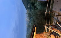 Foto pubblicata dell'ospite di Villa Mastiano