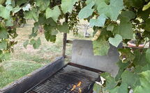 Foto pubblicata dell'ospite di Podere Valcellino