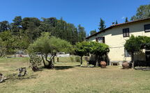 Foto pubblicata dell'ospite di Podere Valcellino