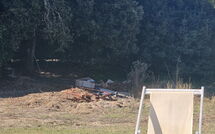 Foto pubblicata dell'ospite di Villa Fucini