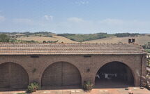 Foto pubblicata dell'ospite di Fattoria le Chianacce